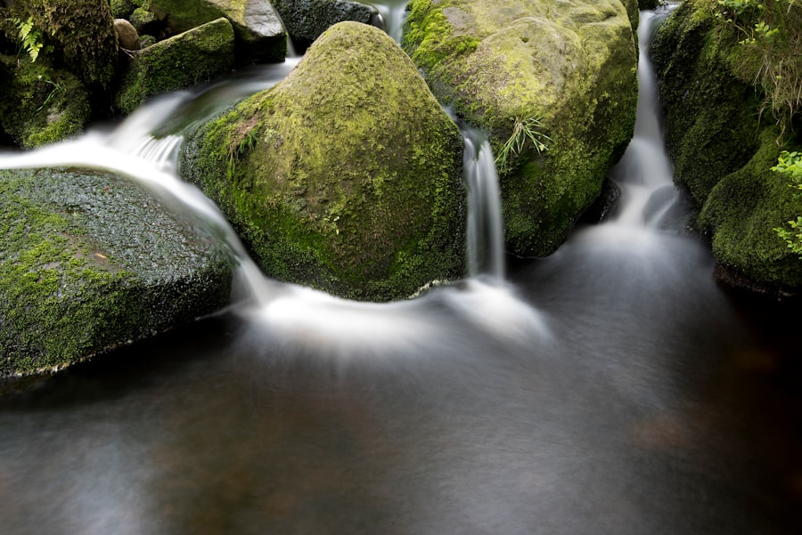 Photo AI Streamlining