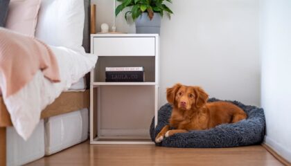 Photo Wearable Air Purifiers