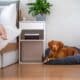 Photo Wearable Air Purifiers