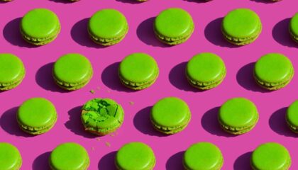Photo Green Tech Careers