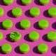 Photo Green Tech Careers