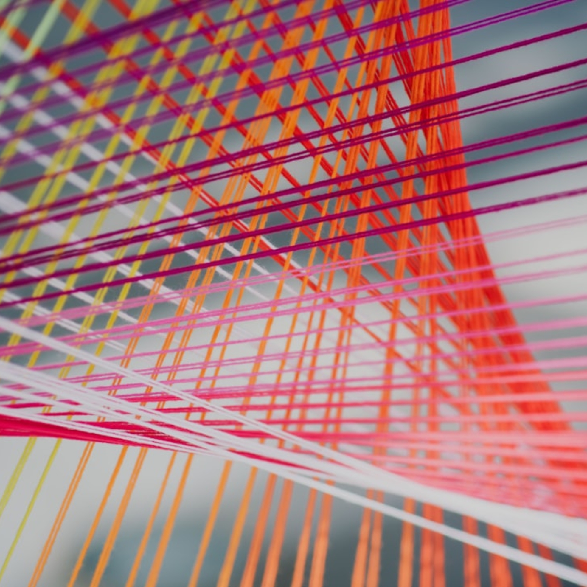 Photo Excel Data Visualization