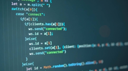Photo Secure Coding Standards