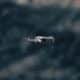 Photo Ethics, Autonomous Weapons Systems