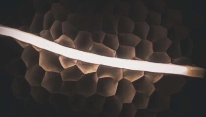 Photo Bio-Sensing Wearables