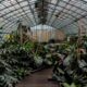 Photo Smart Greenhouses