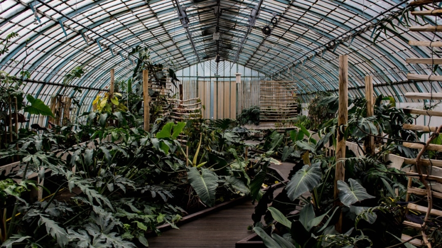 Photo Smart Greenhouses