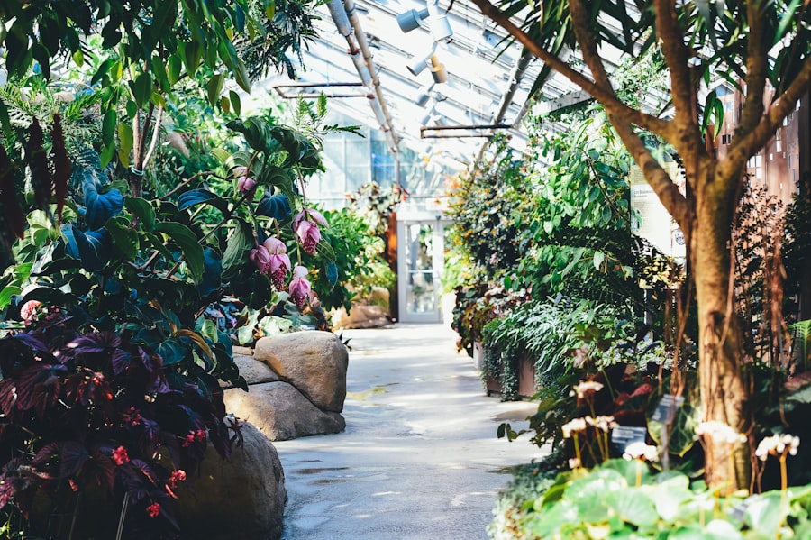 Photo Smart Greenhouses