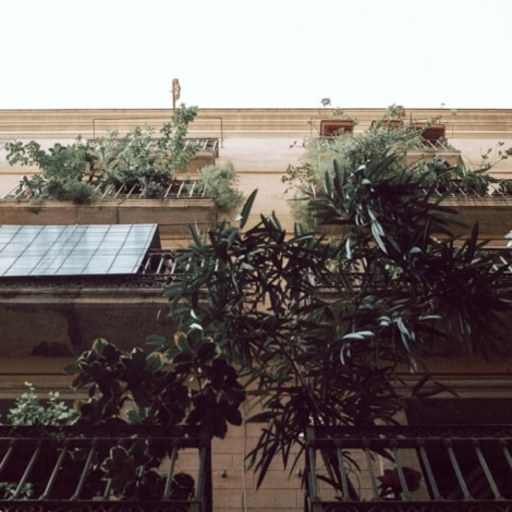 Photo AI, Renewable Energy Management