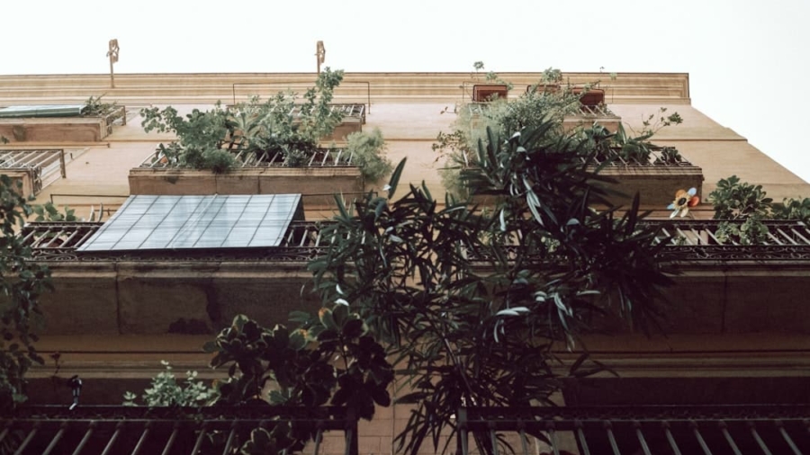Photo AI, Renewable Energy Management