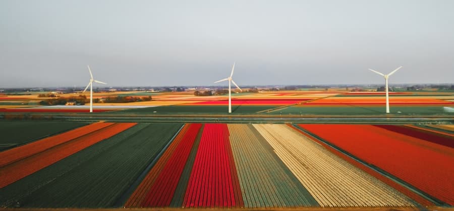 Photo AI, Renewable Energy Management