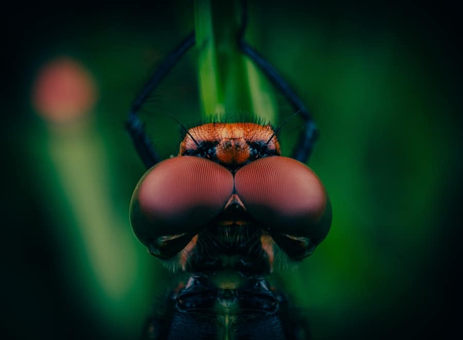 Photo AI-Supported Bug Reproduction