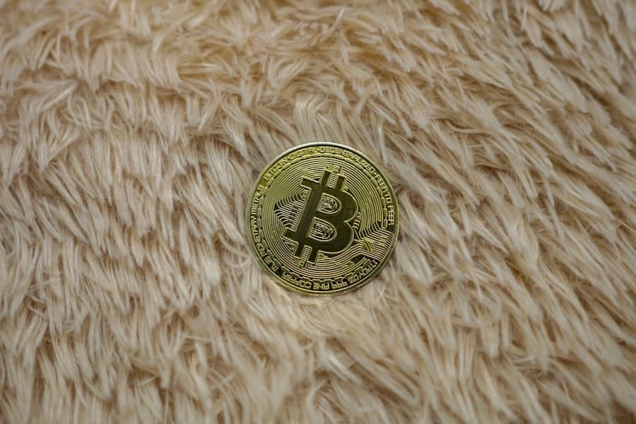 Photo Cryptocurrency Wallets