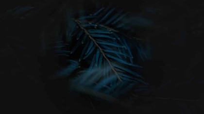 Photo Metas Quest 4 Preview