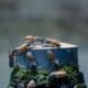 Photo Swarm Robotics