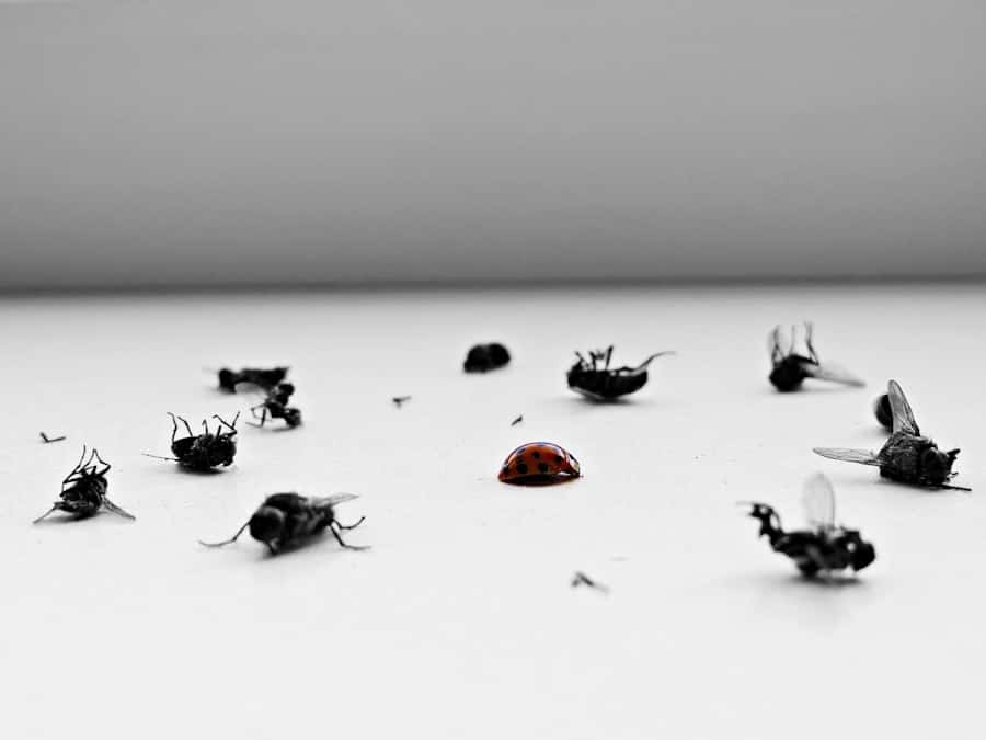 Photo Swarm Robotics