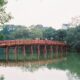 Photo Cross-Chain Bridges