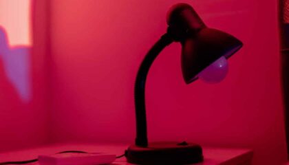 Photo AI, Voice-Controlled Smart Lamp