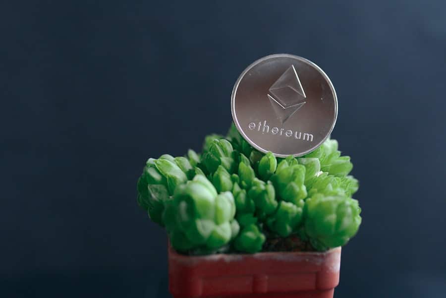 Blockchain Startups