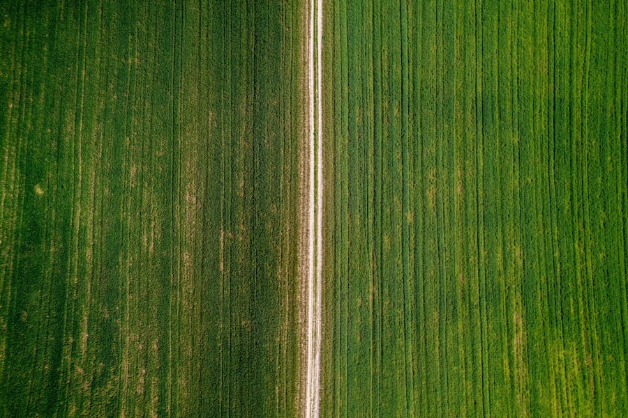 Precision Agriculture