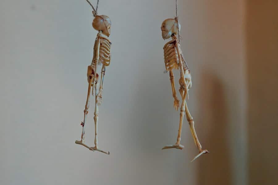 Exoskeletons