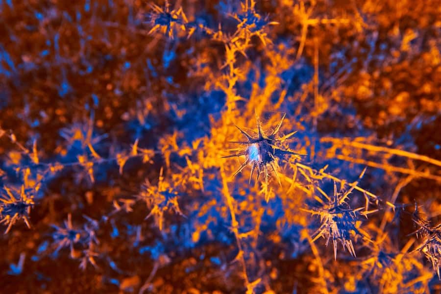 Neurotech