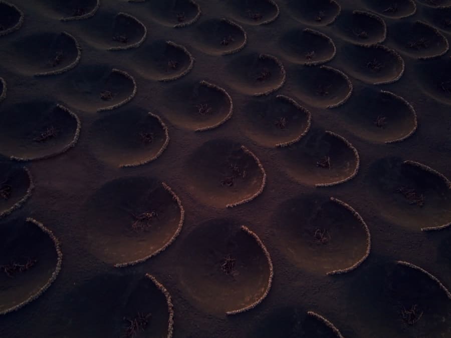Stablecoins