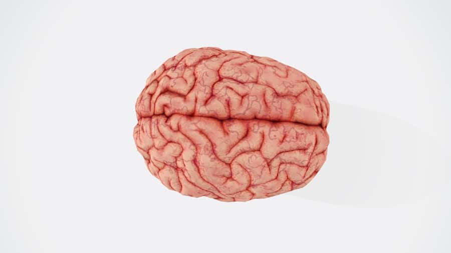 Brain Interfaces