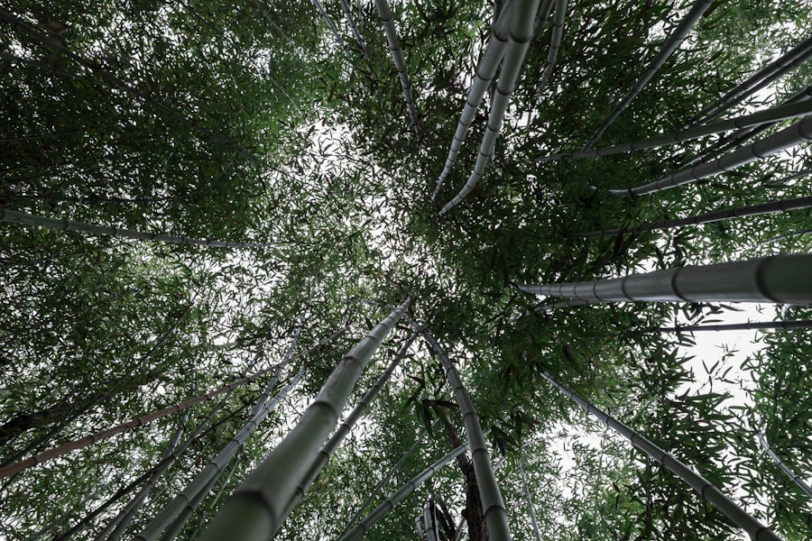 Tech-Augmented Nature Experiences