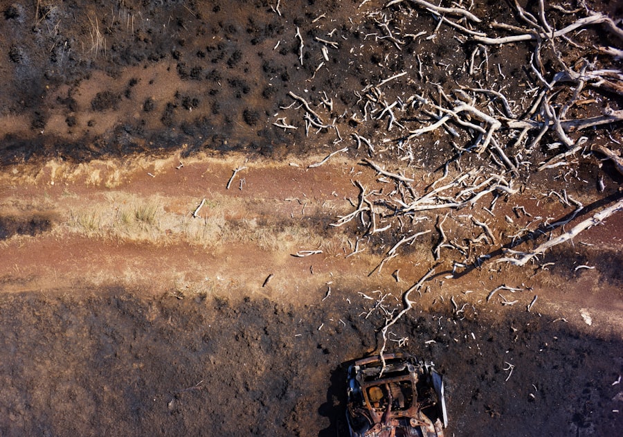 Drone Mapping