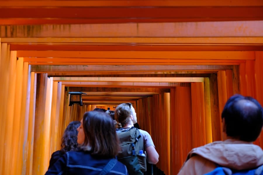 VR Guided Tours