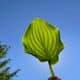 Photo Green Finance Adoption