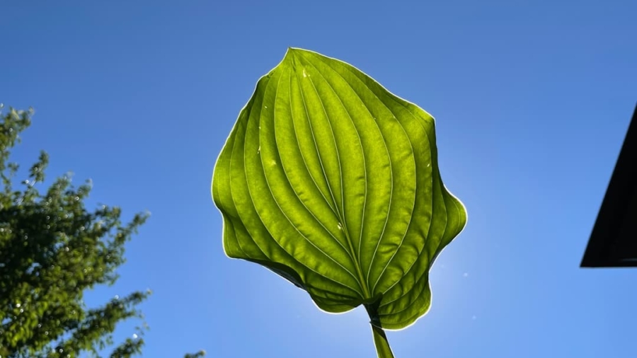 Photo Green Finance Adoption