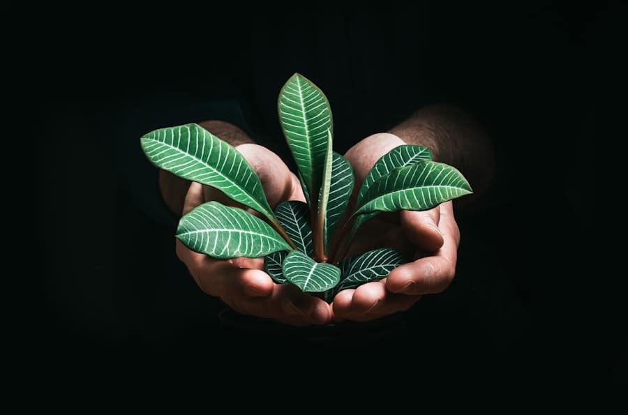 Photo Green Finance Adoption