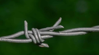 Photo Cross-Chain Interoperability