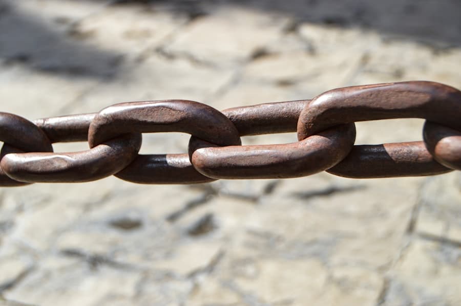 Photo Cross-Chain Interoperability