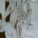 Photo Exoskeletons