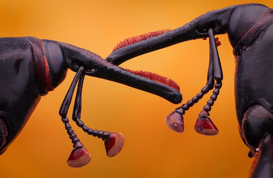 Photo Exoskeletons