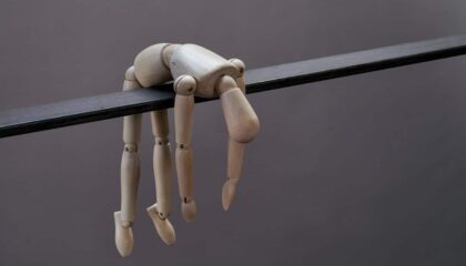 Photo Exoskeletons