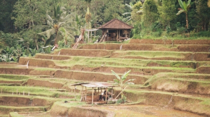 Photo Microfinance