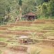 Photo Microfinance