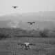 Photo Drone Swarms