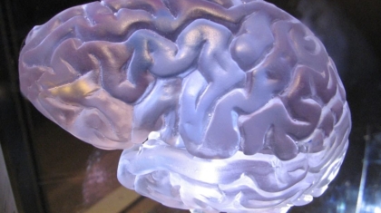 Photo Neurotech