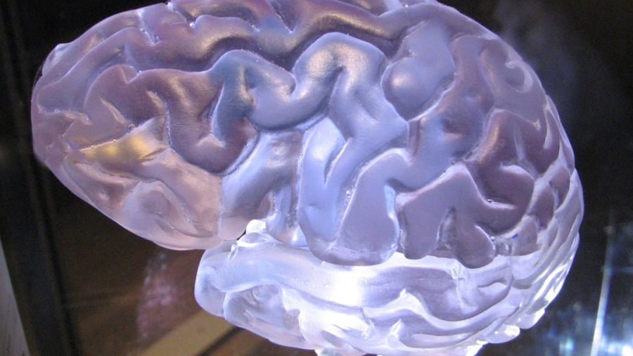 Photo Neurotech