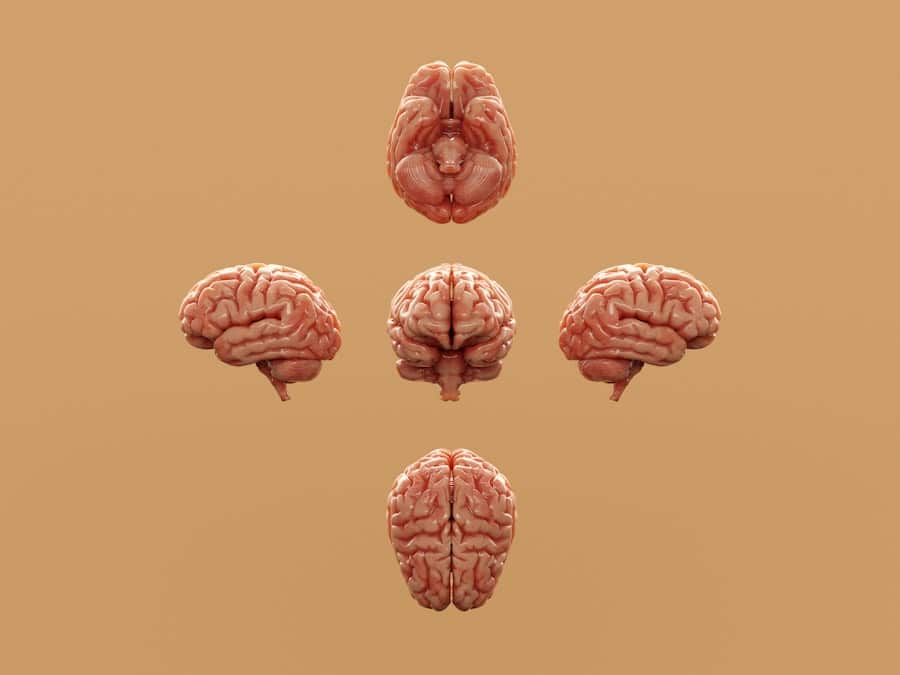 Photo Neurotech