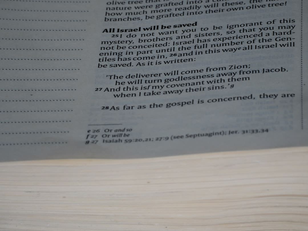 Photo Gamified Assessments