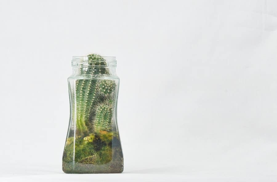 Photo Crowdfunding Campaigns