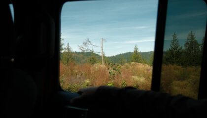 Photo VR Field Trips