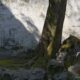 Photo AI Generates Dynamic Game Worlds