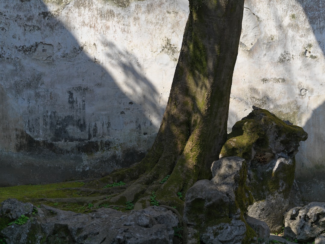 Photo AI Generates Dynamic Game Worlds